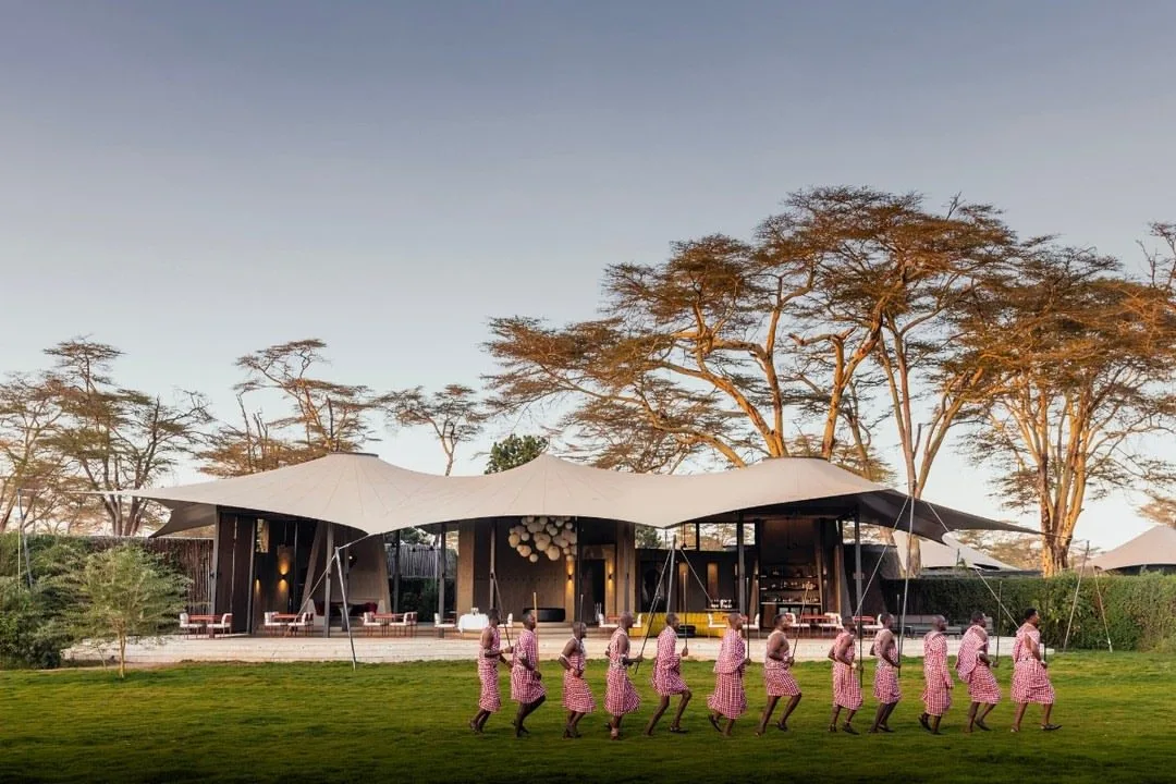 wildlife, Amboseli & Chyulu Hills