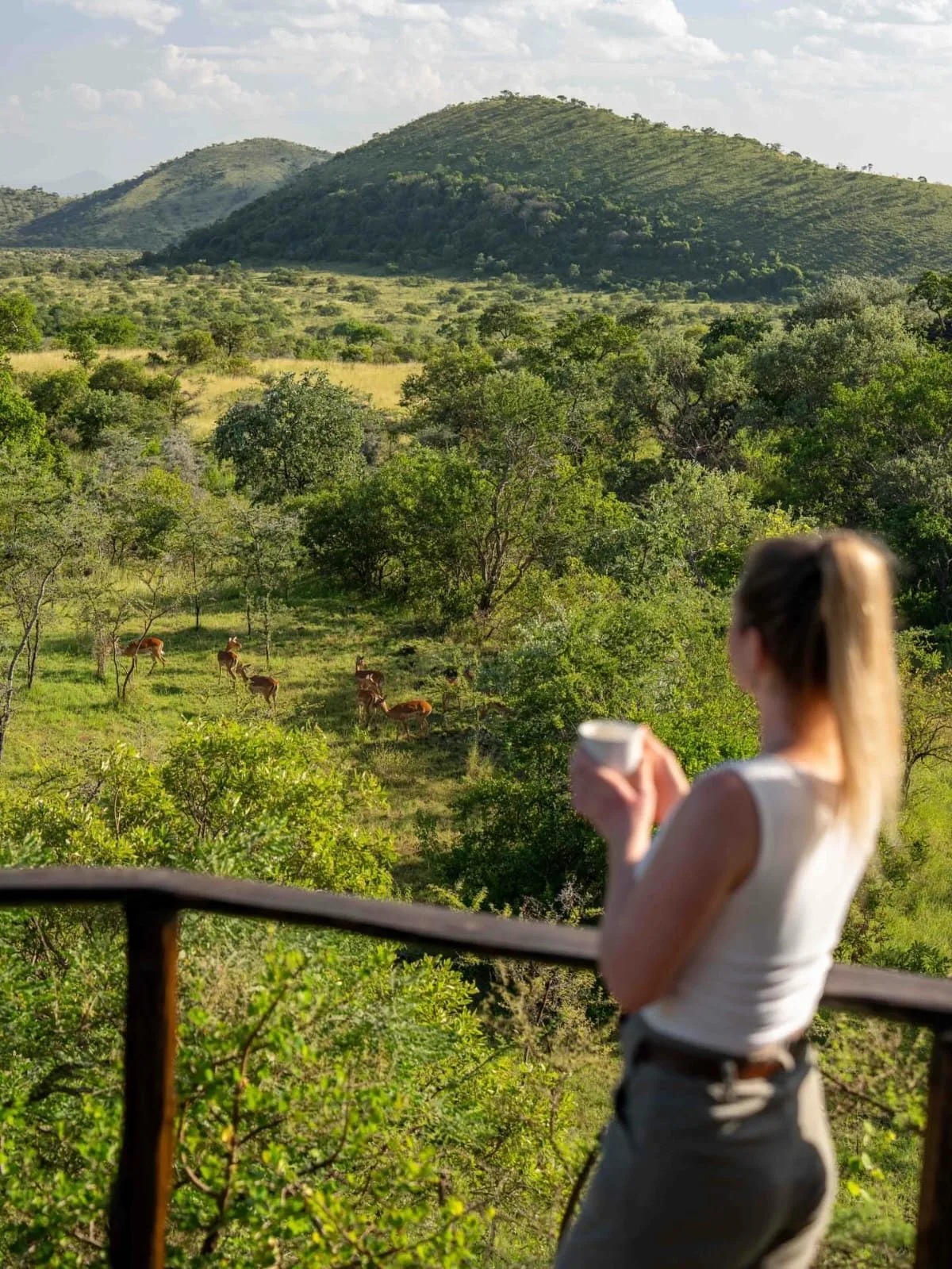 experiences, Mount Kenya