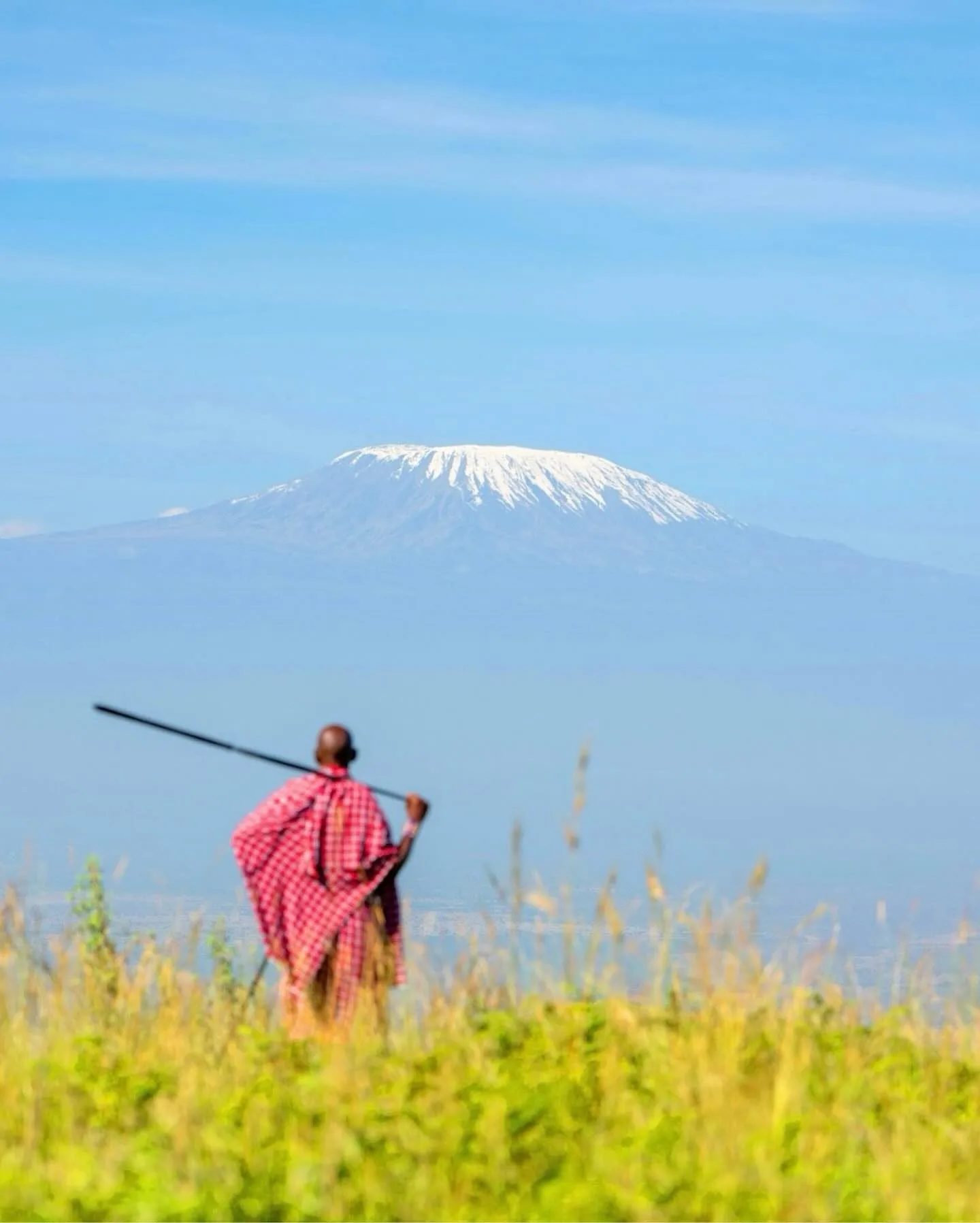 Campi Ya Kanzi, image 2