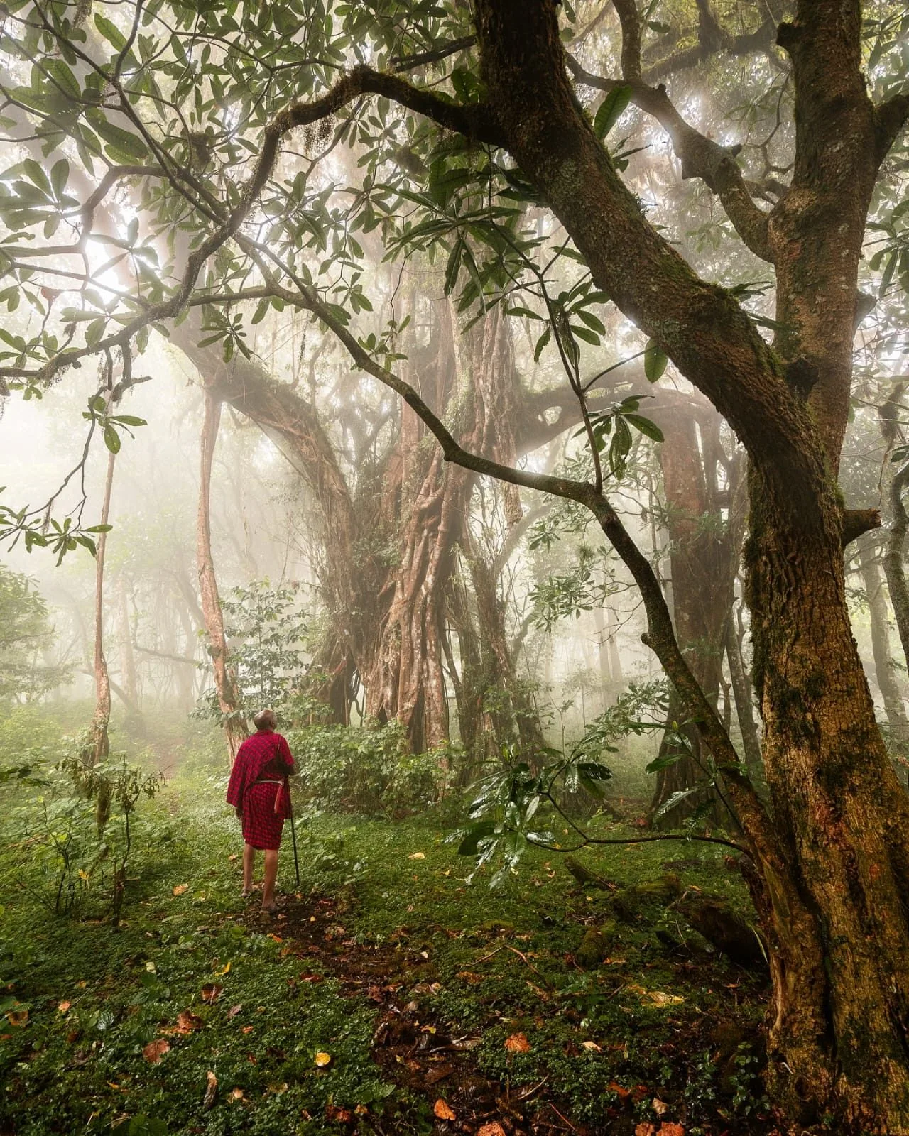 planning notes, Mount Kenya