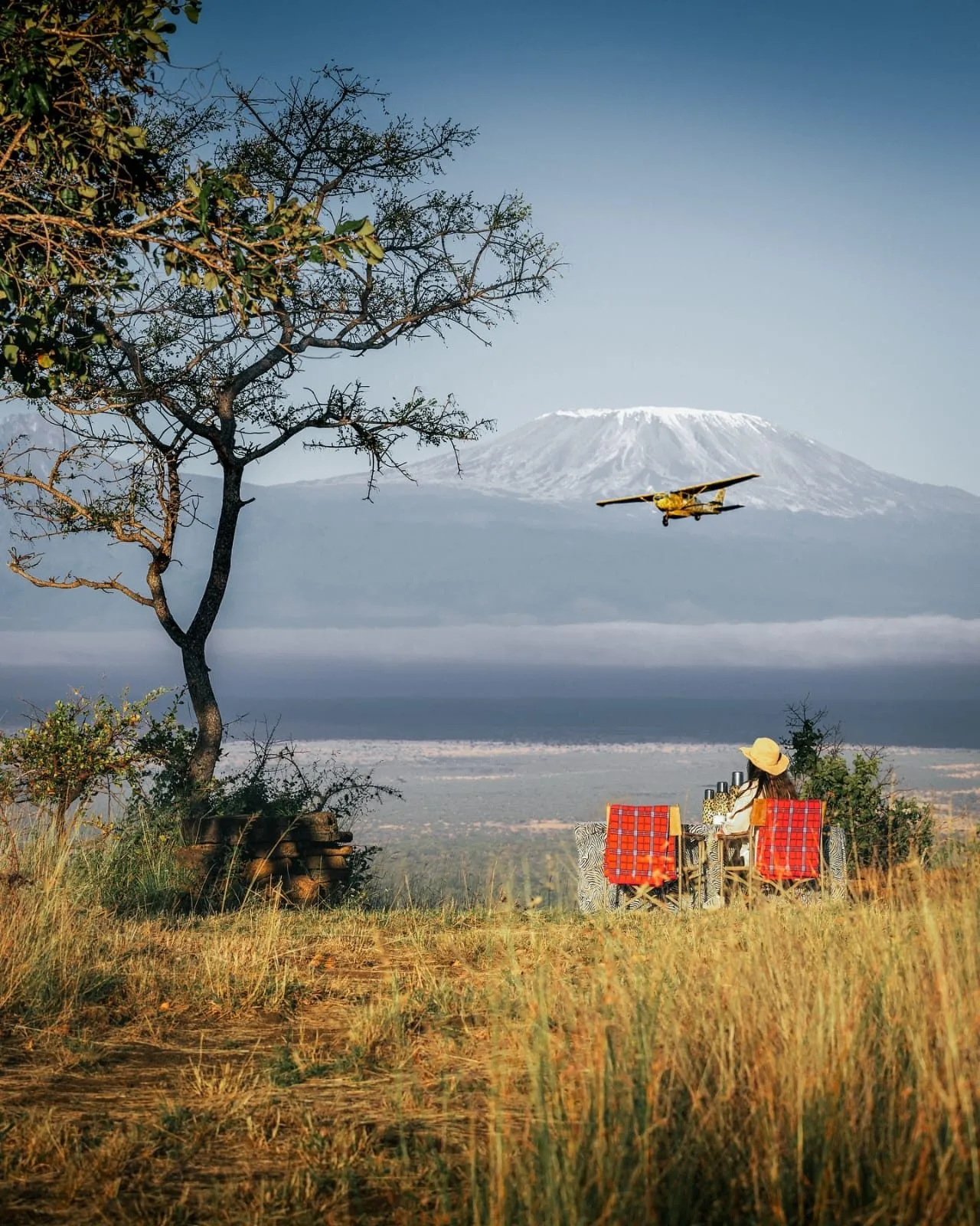 wildlife, Amboseli & Chyulu Hills