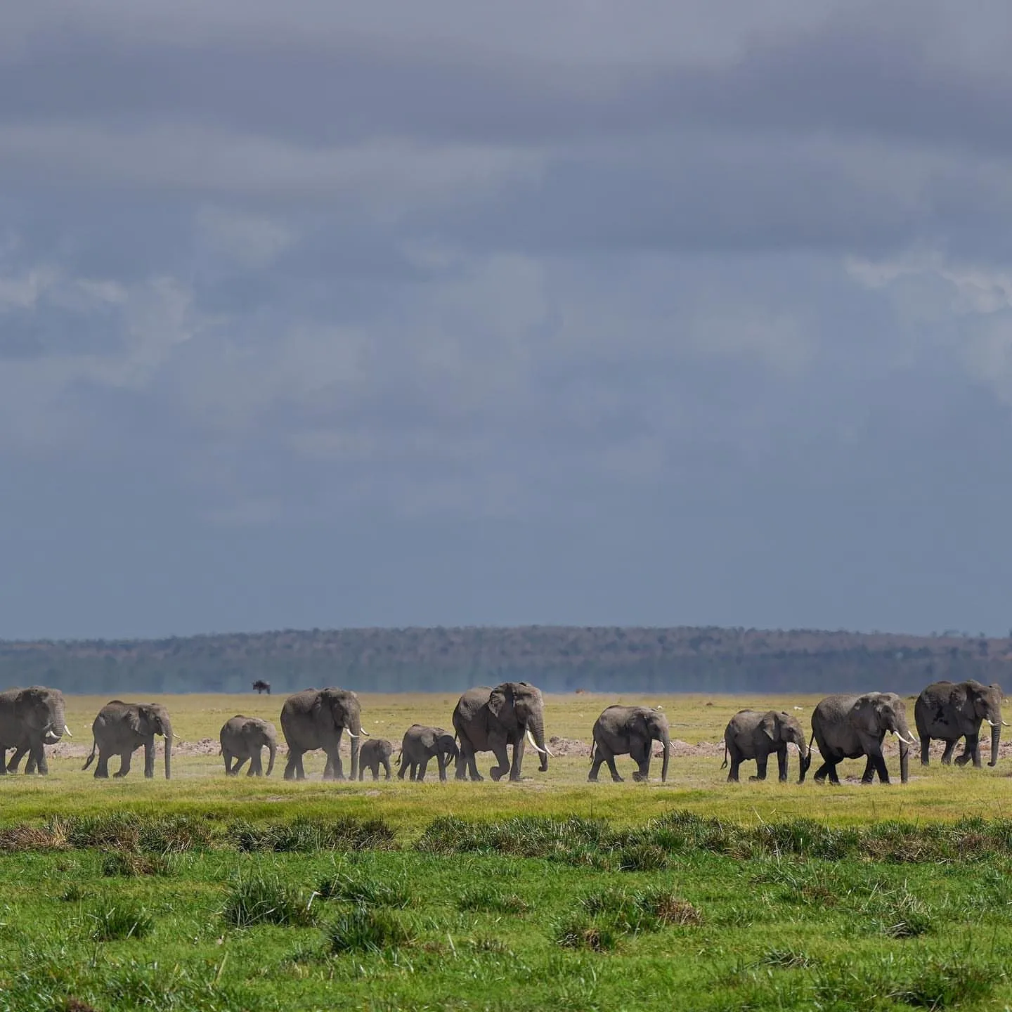 in detail, Mount Kenya