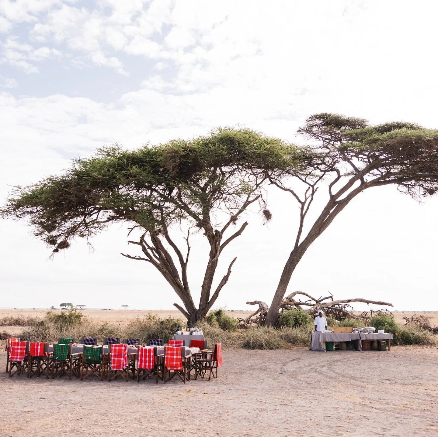 wildlife, Amboseli & Chyulu Hills