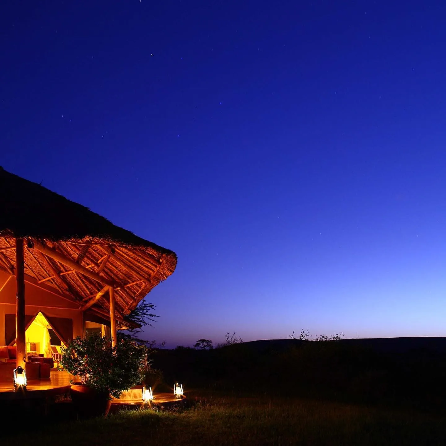 Elewana Tortilis Camp, image 2