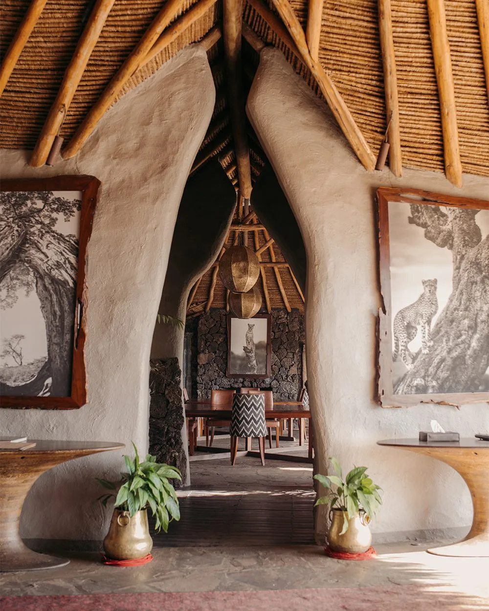 wildlife, Amboseli & Chyulu Hills