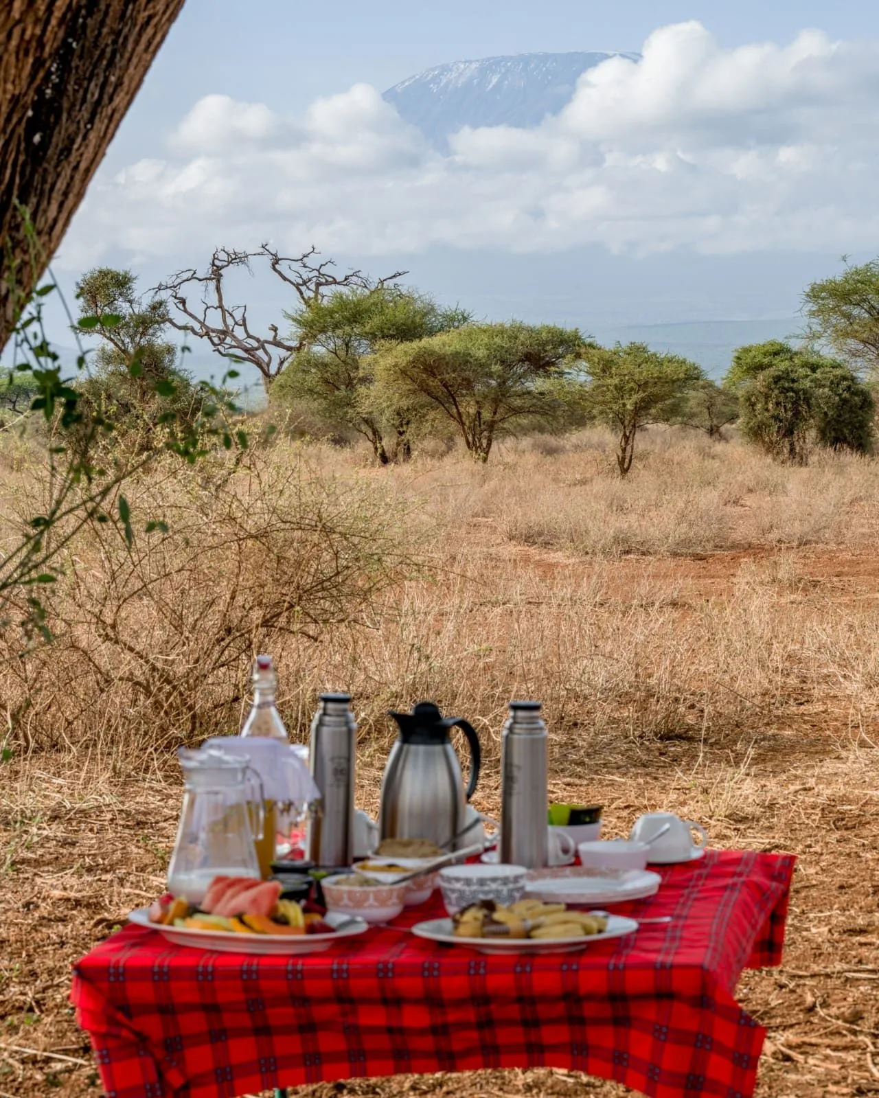 Tawi Lodge, image 1