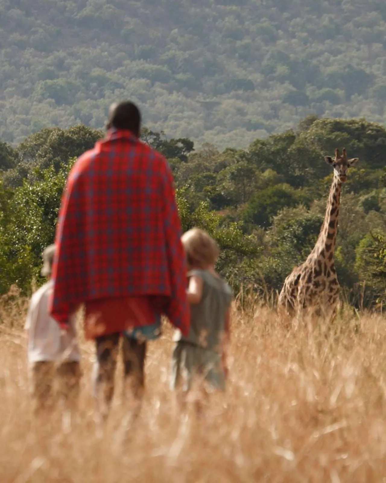 wildlife, Meru