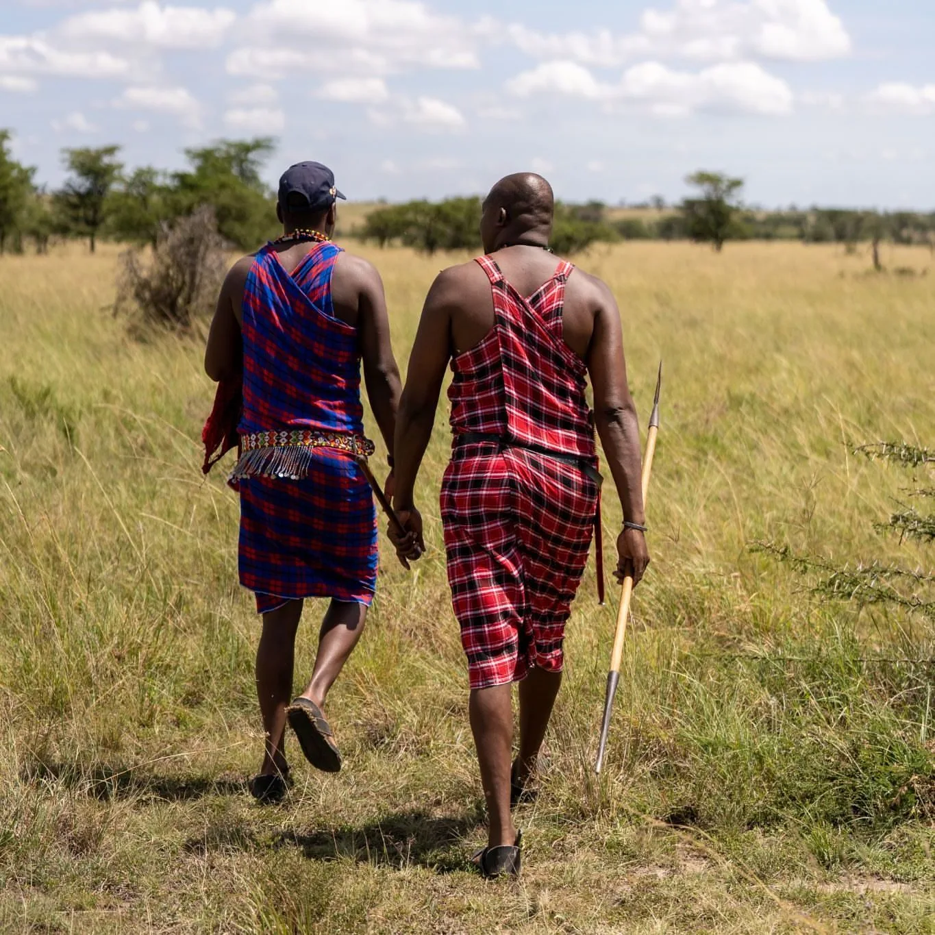 wildlife, Meru