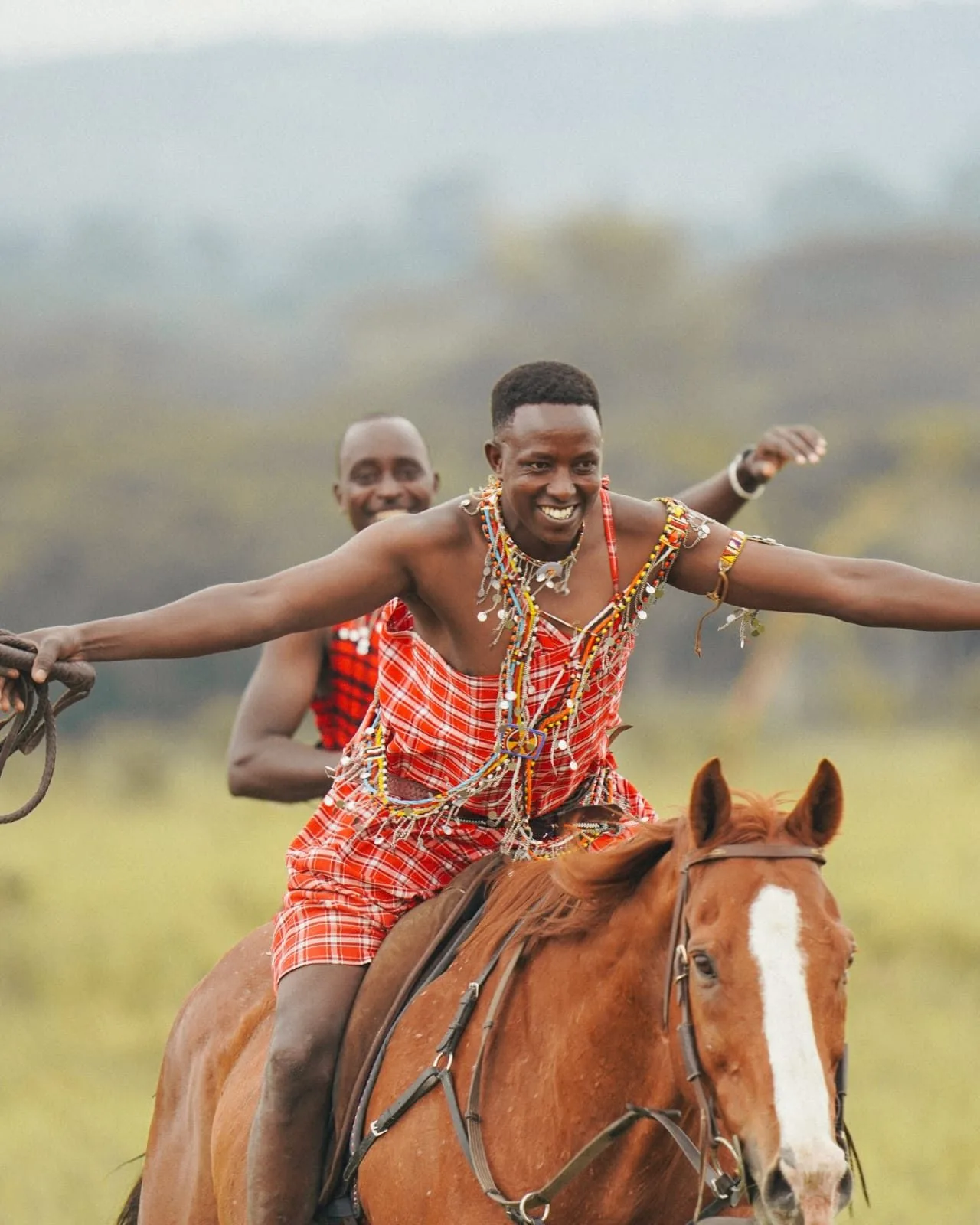 wildlife, Meru