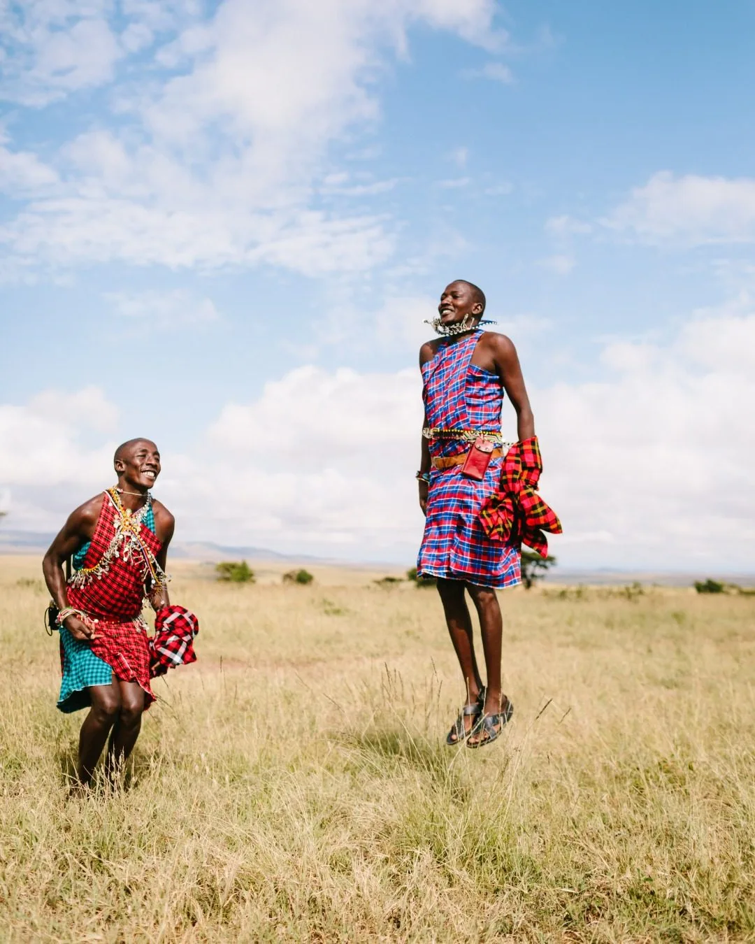 wildlife, Meru