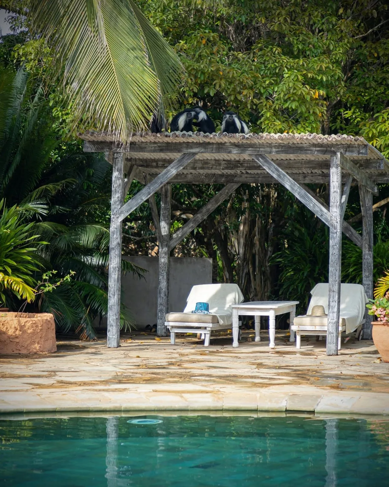 overview, Diani Beach