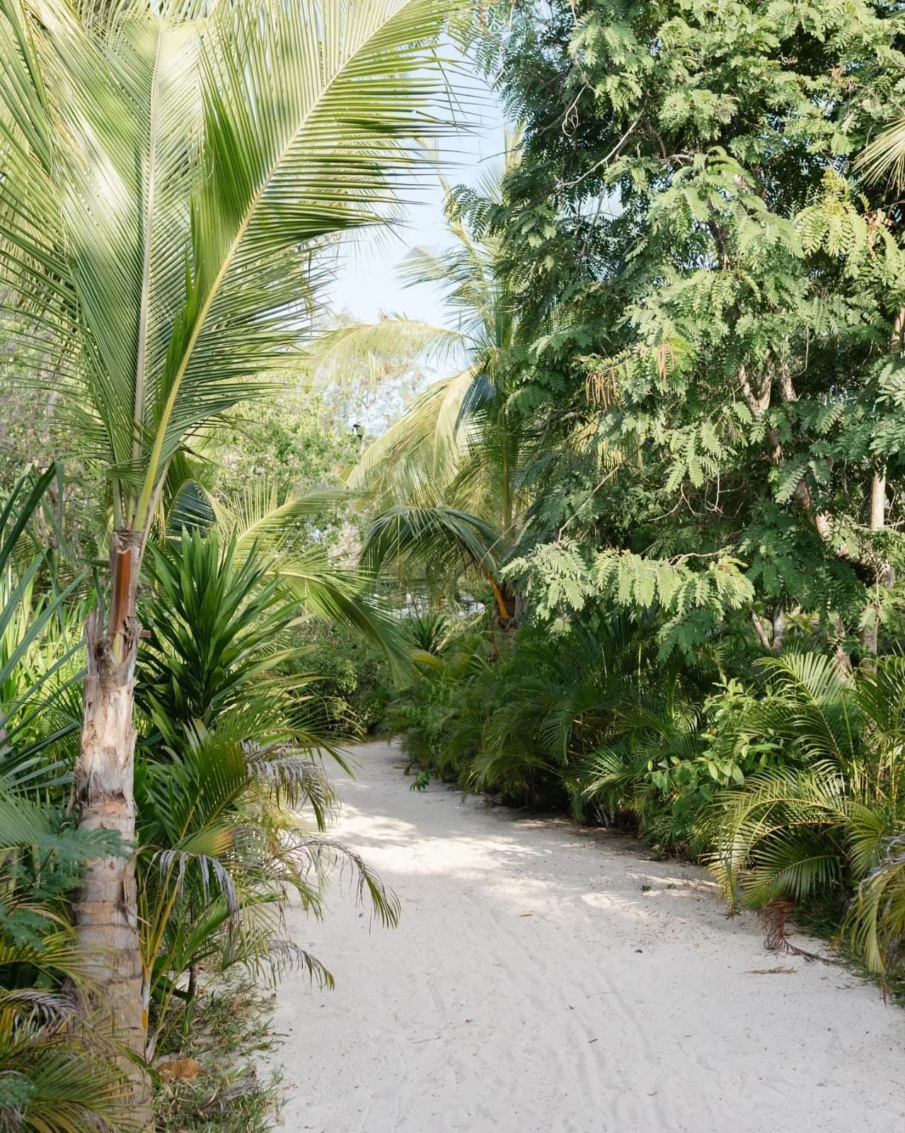 overview, Diani Beach