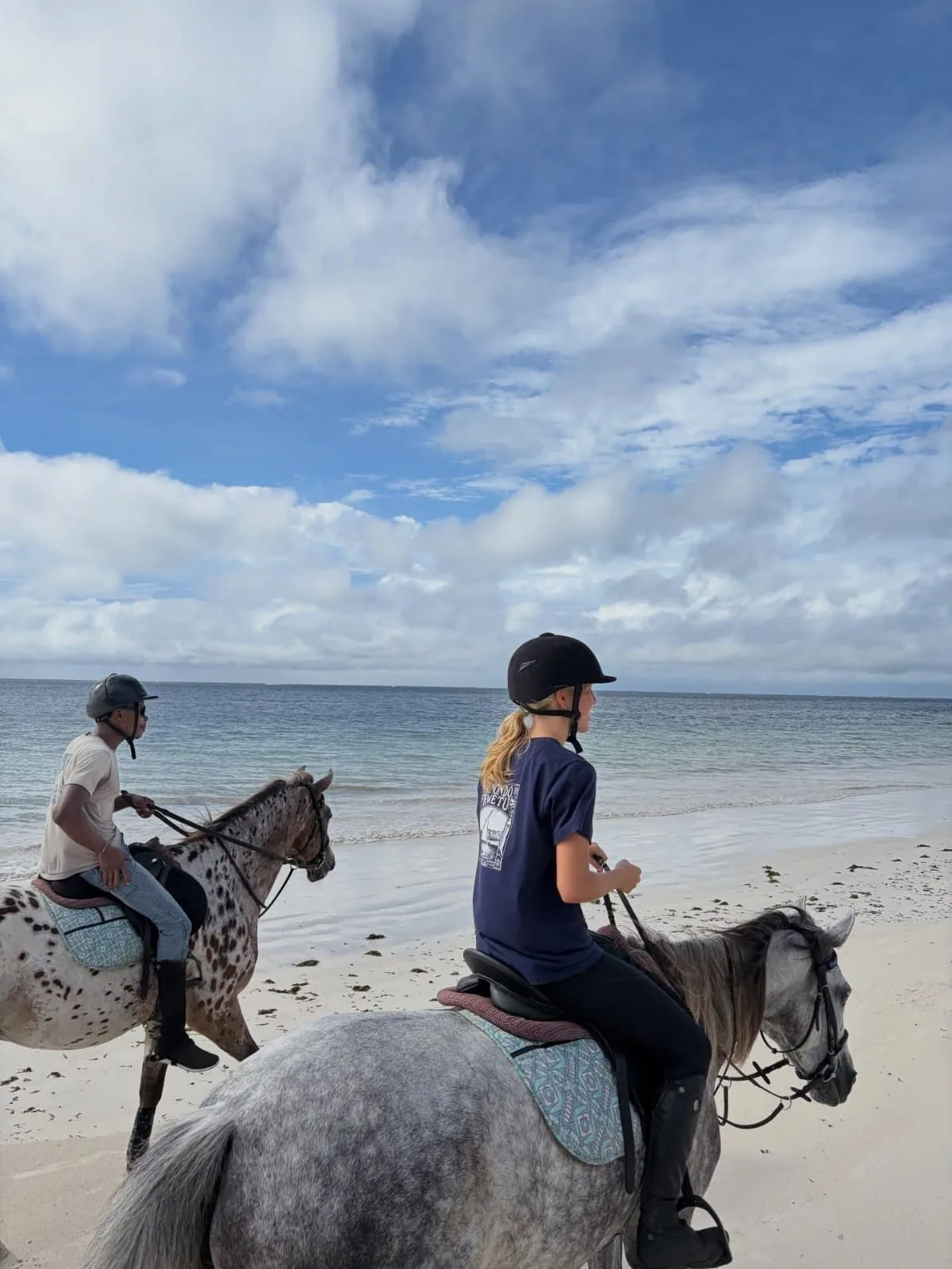overview, Diani Beach