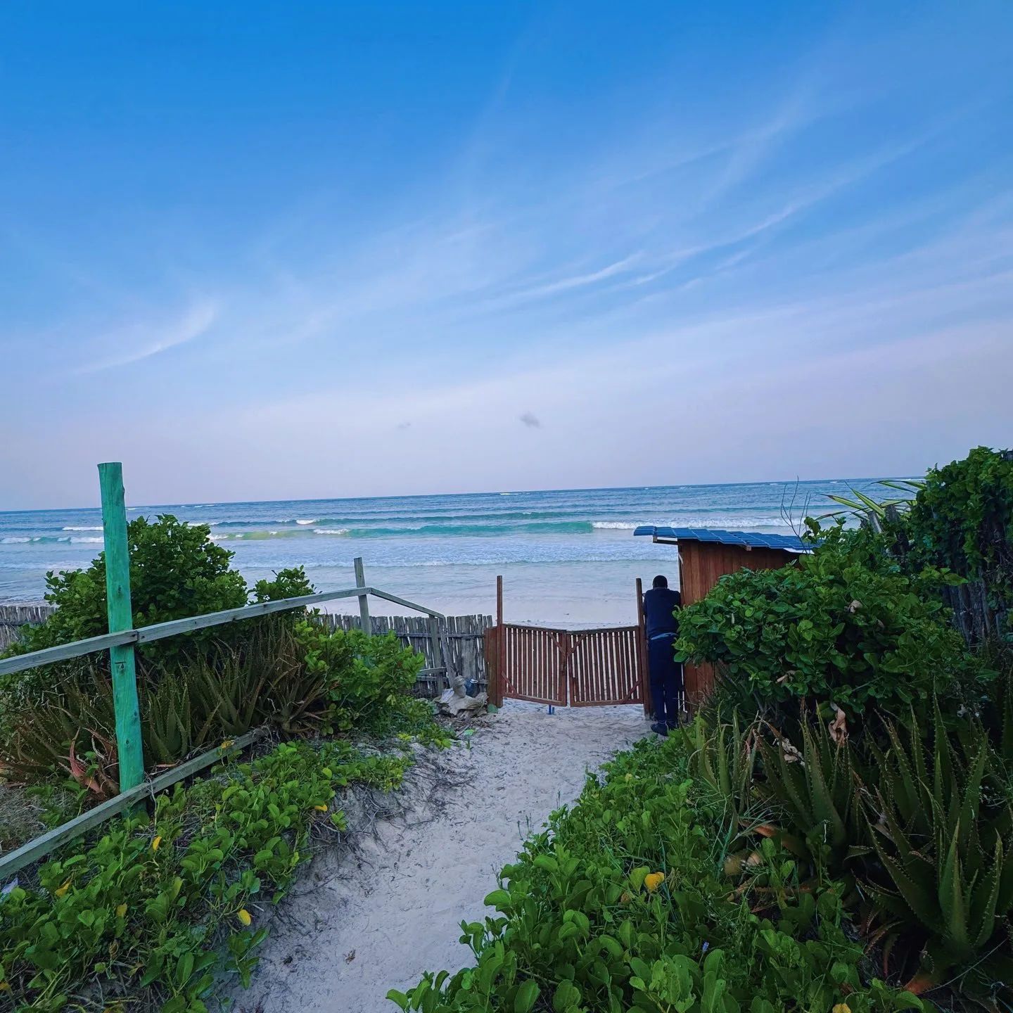 wildlife, Diani Beach