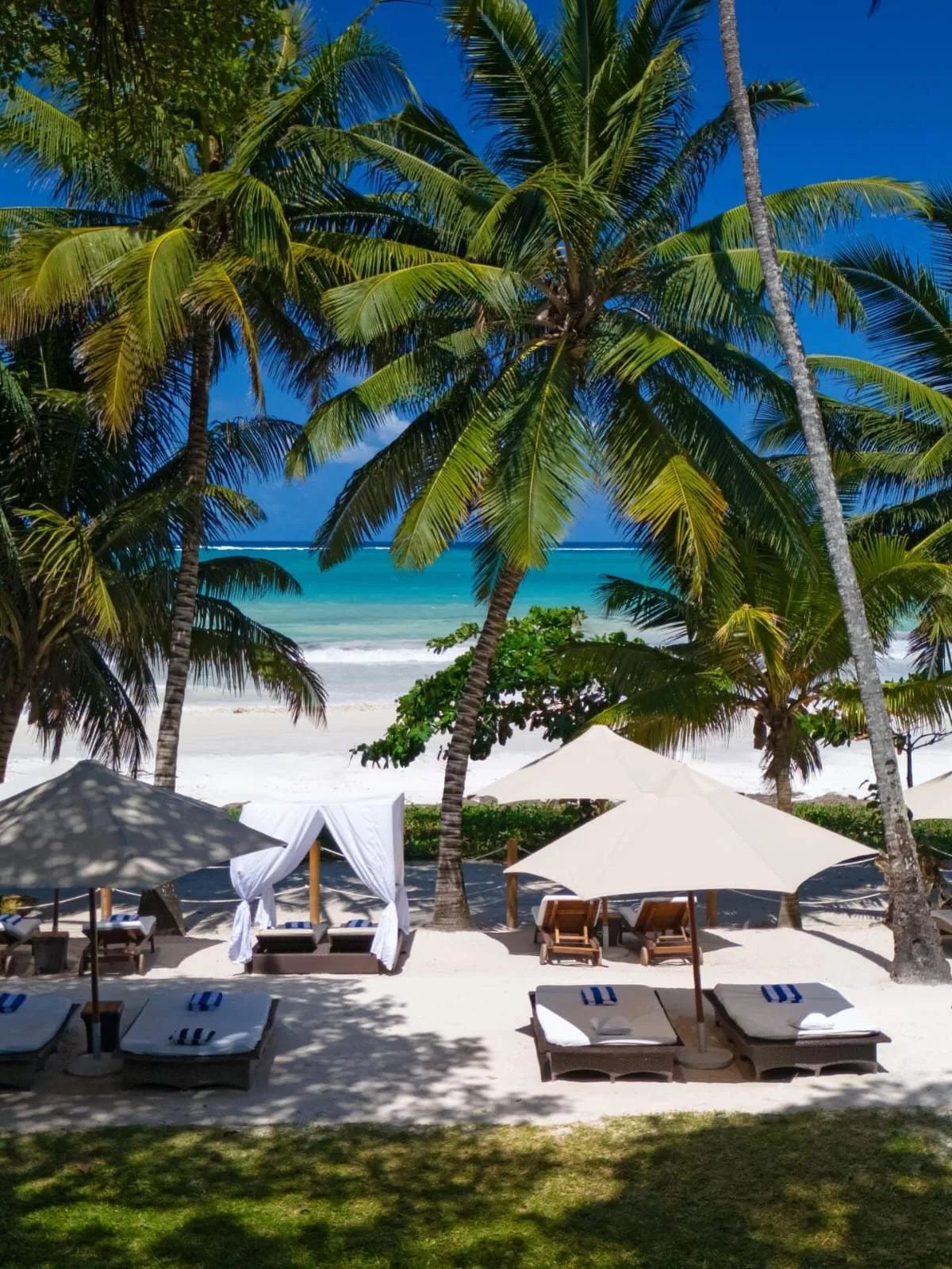 Diani Beach image 12