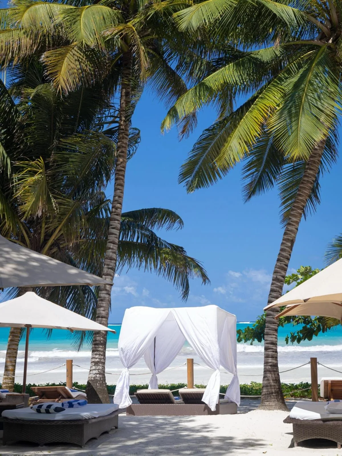 Diani Beach image 09