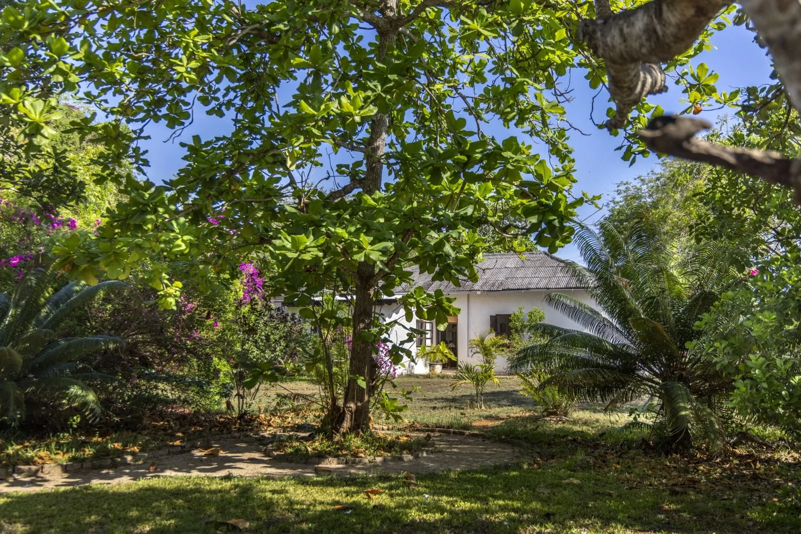 overview, Kilifi