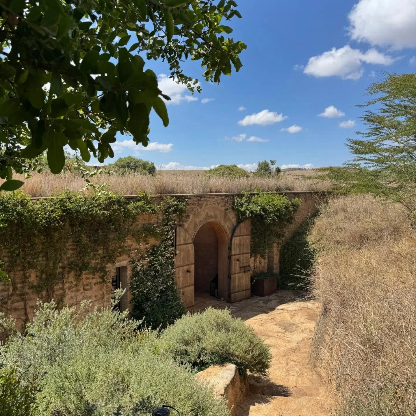 Arijiju Retreats