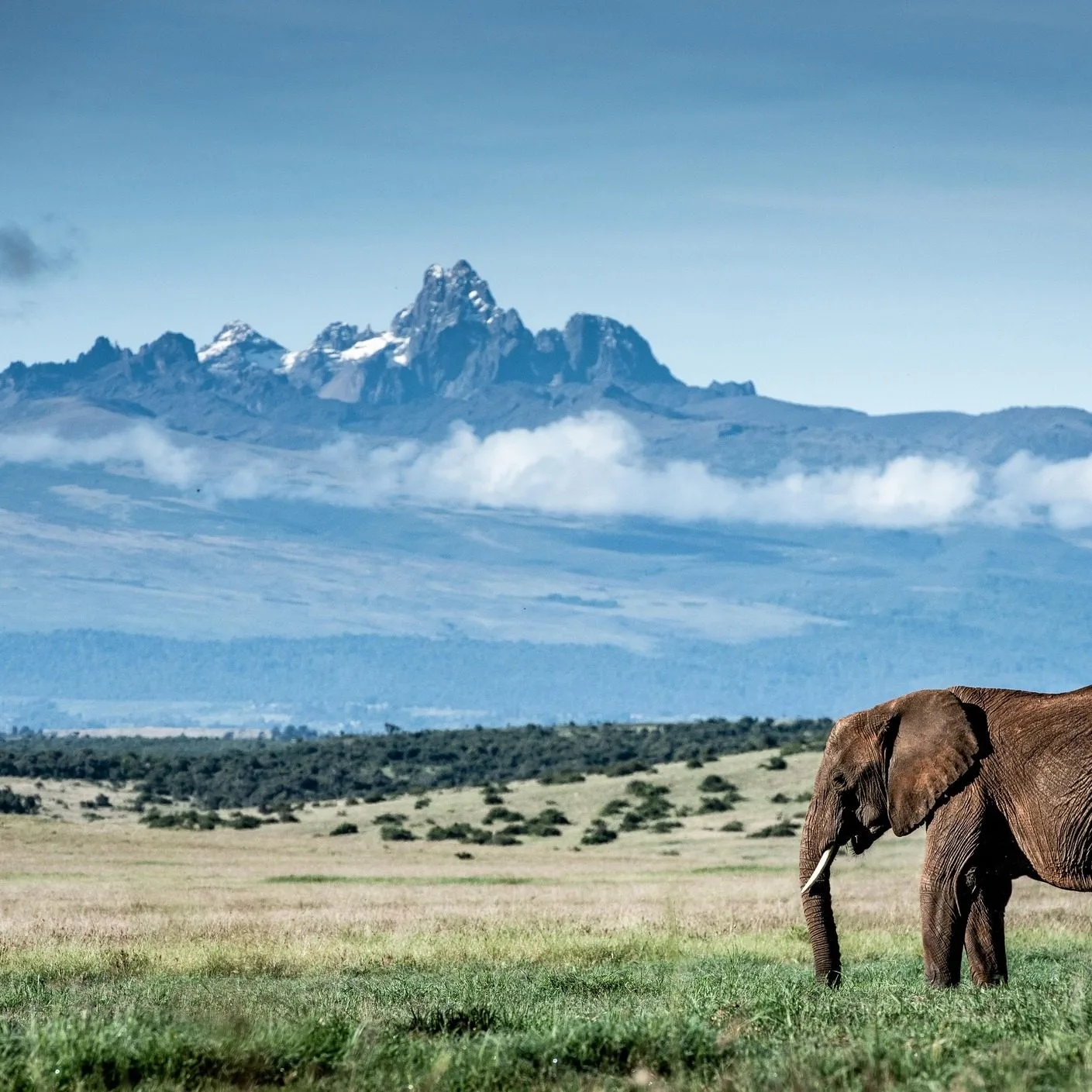 wildlife, Meru