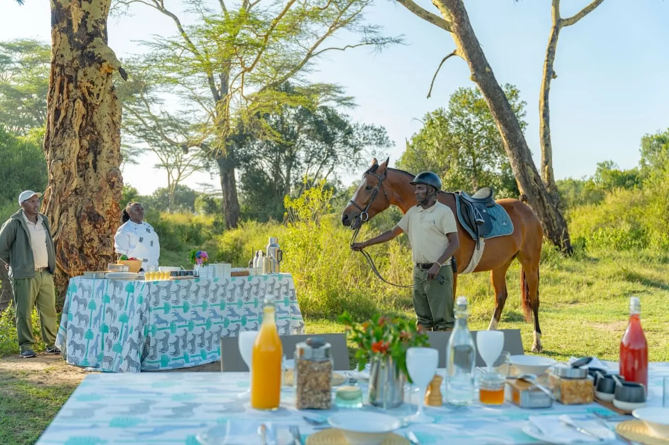 overview, The Laikipia Plateau