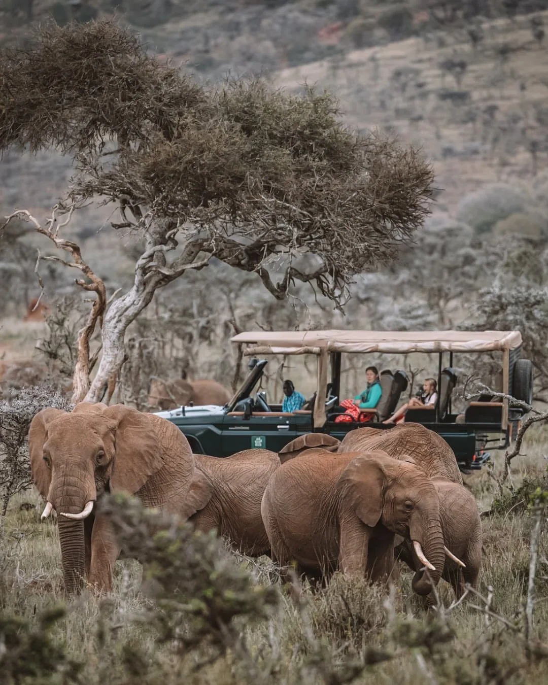 Enasoit — Laikipia, image 2