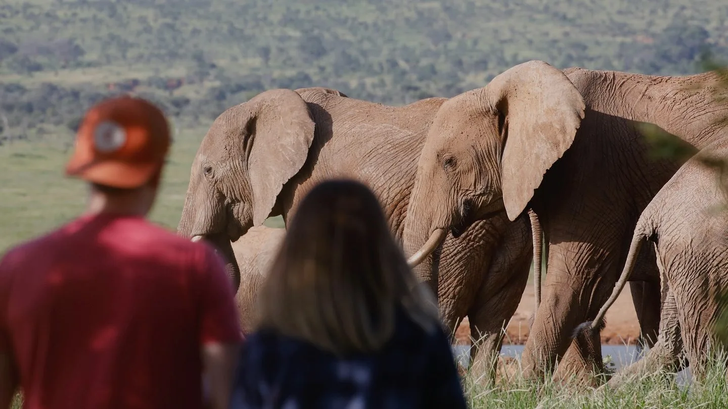 The Laikipia Plateau image 12