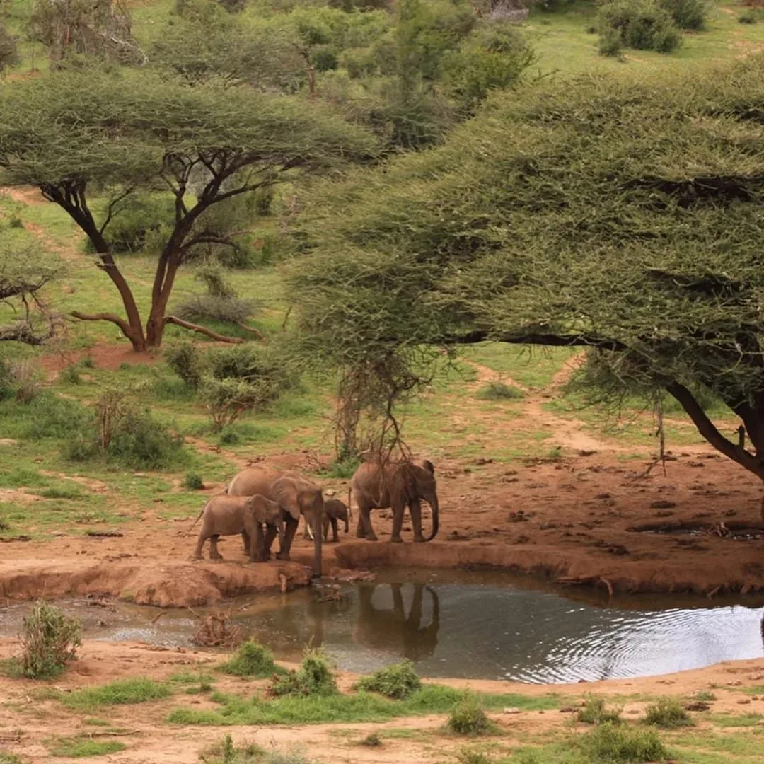 Il Ngwesi Lodge