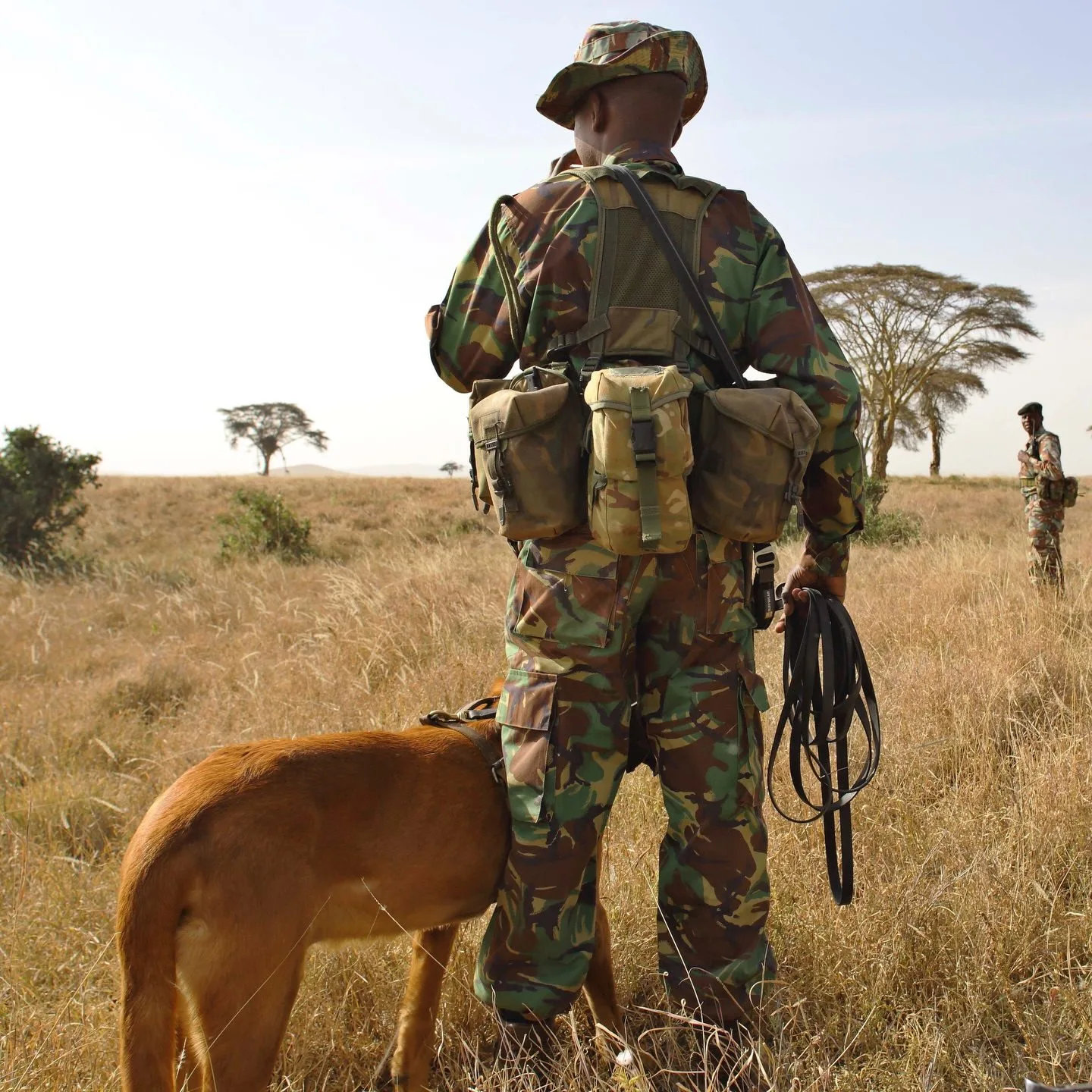 overview, The Laikipia Plateau