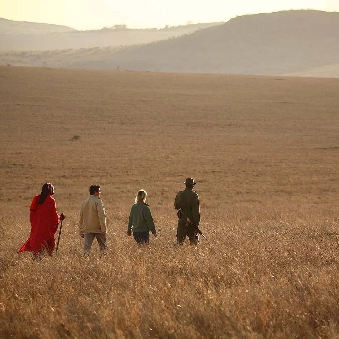 Lewa Safari Camp 1