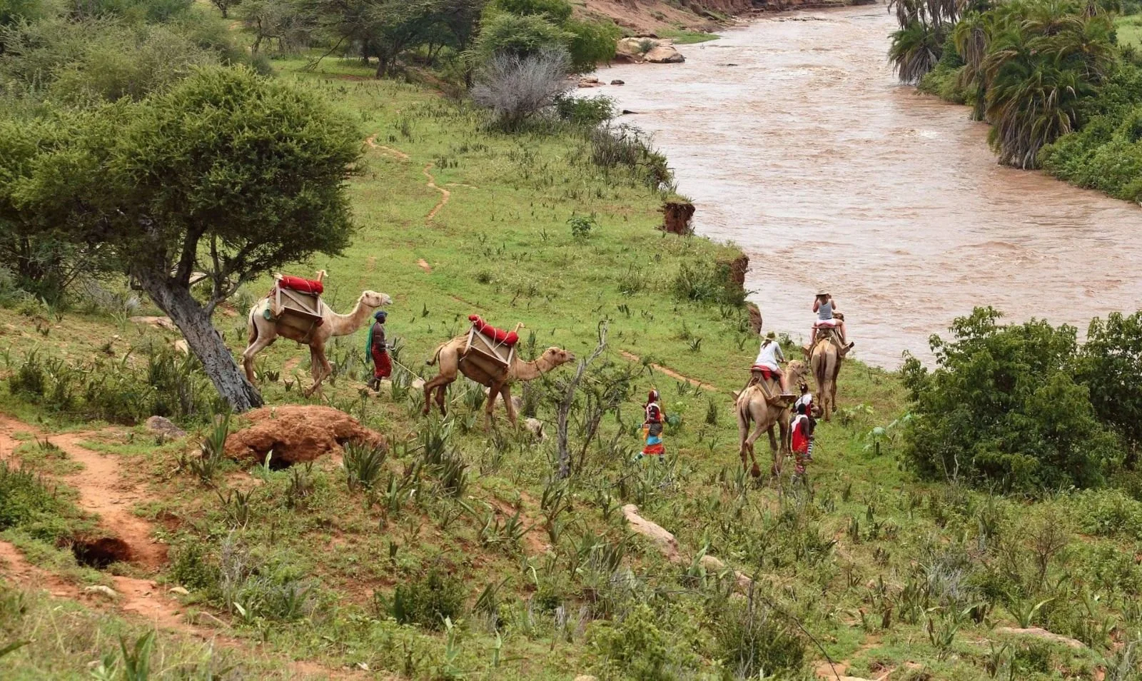 overview, The Laikipia Plateau
