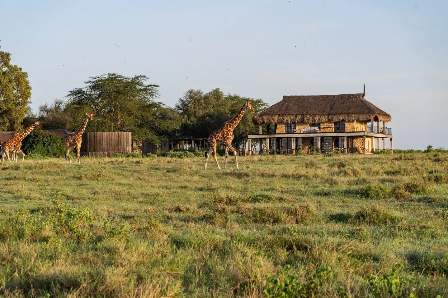 overview, The Laikipia Plateau