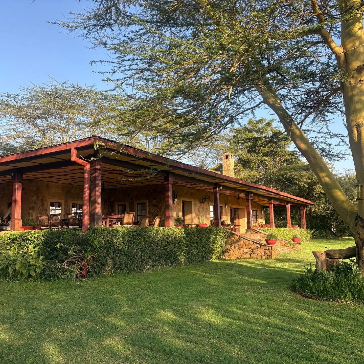 wildlife, Nairobi