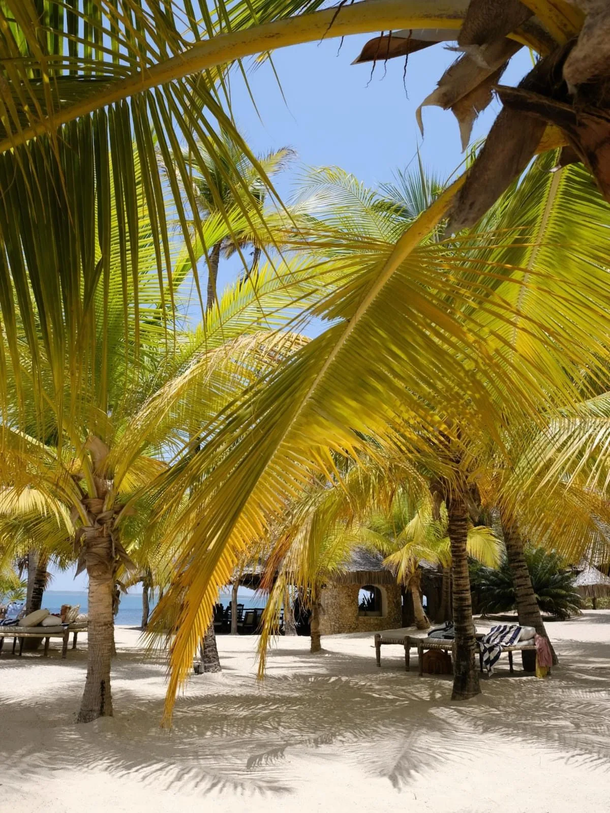 Manda Bay Lodge