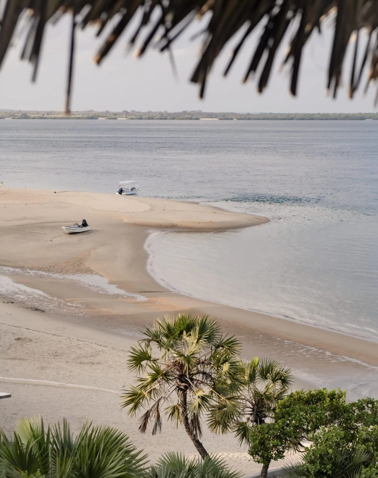 Lamu Island image 01