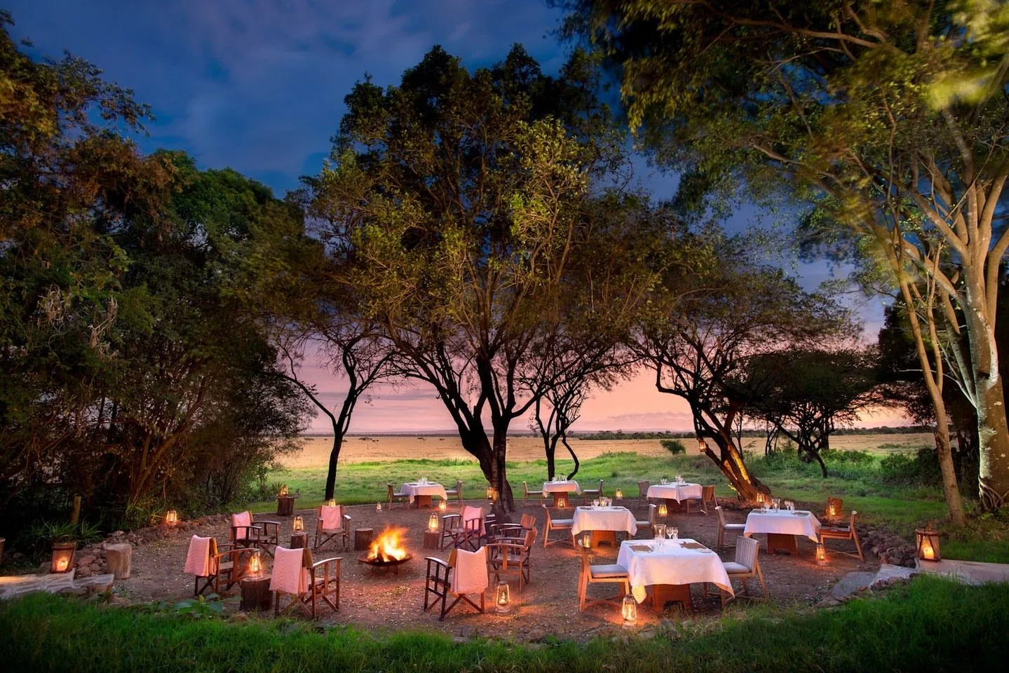 & Beyond Bateleur Camp, image 2