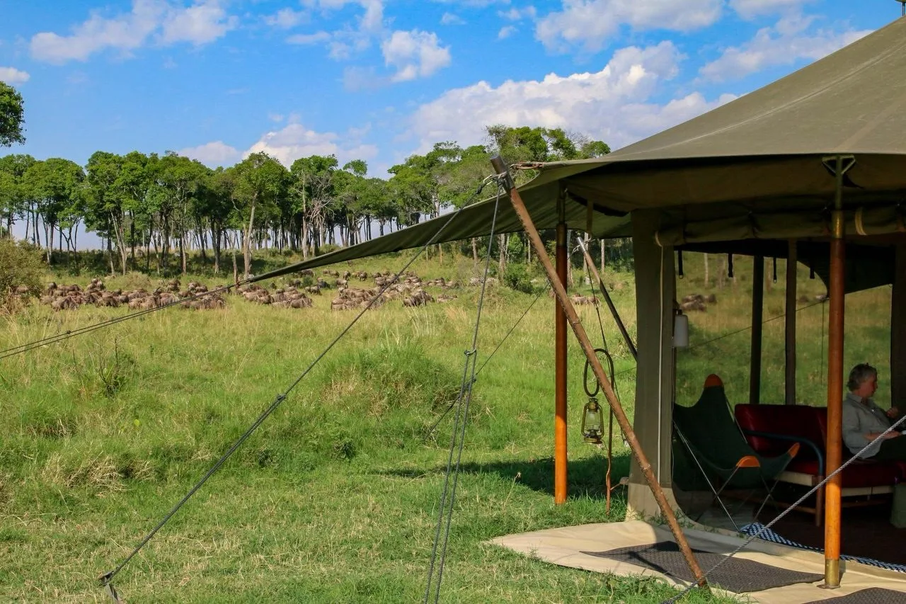 overview, The Masai Mara