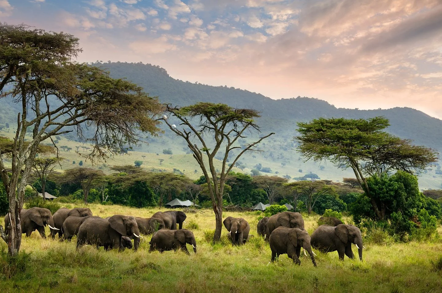Angama Safari Camp, image 2