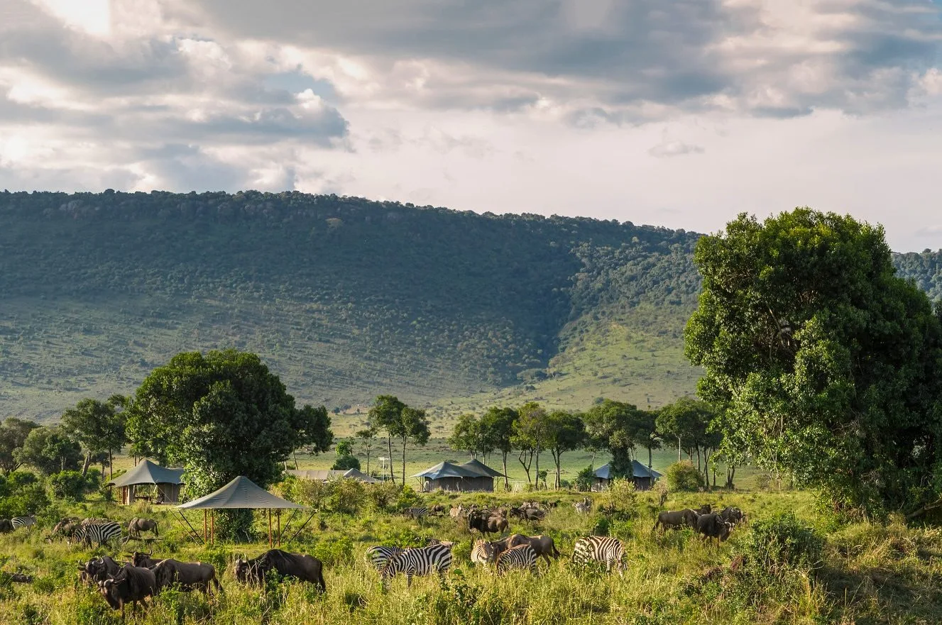 overview, The Masai Mara