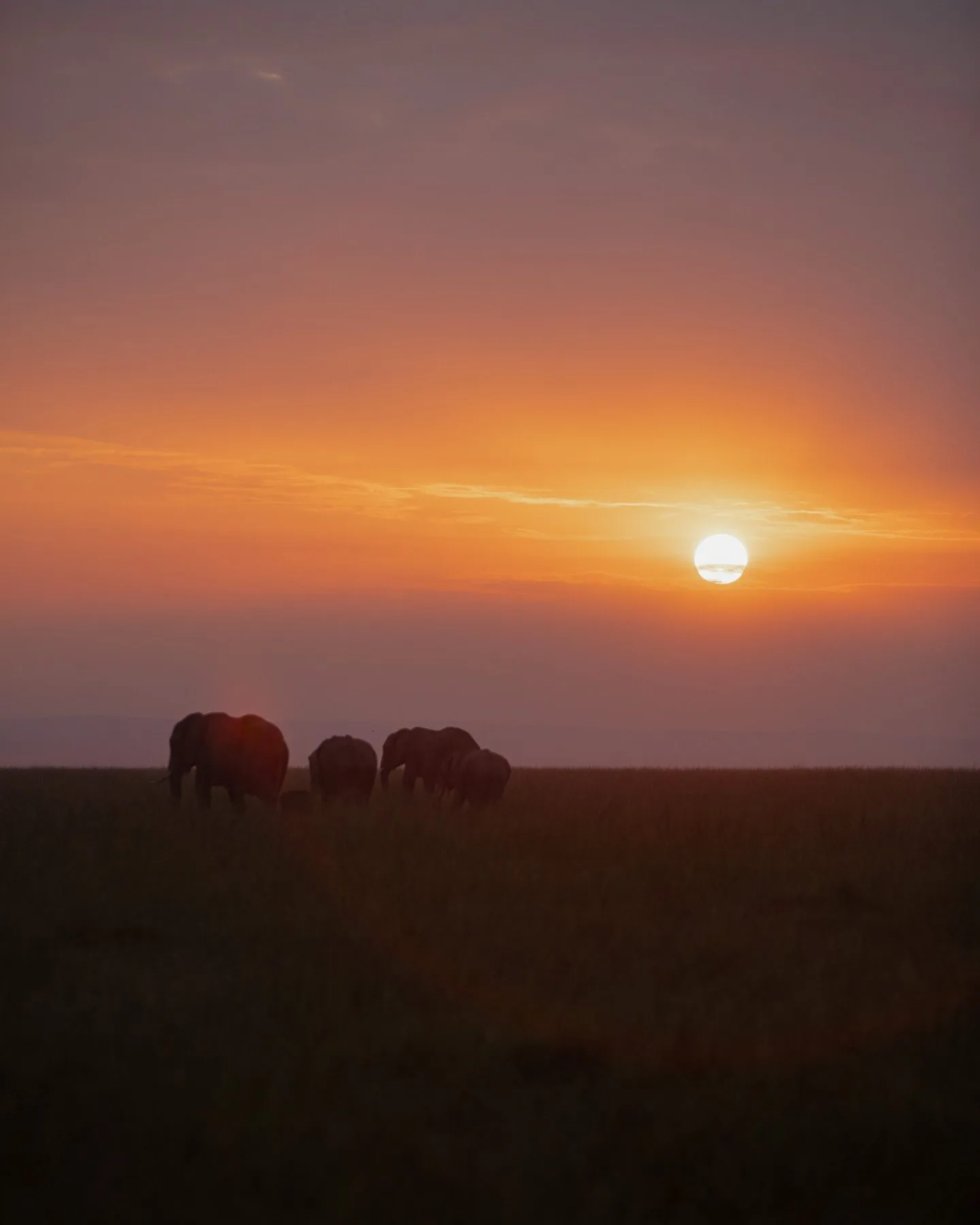 Elephant Pepper Camp