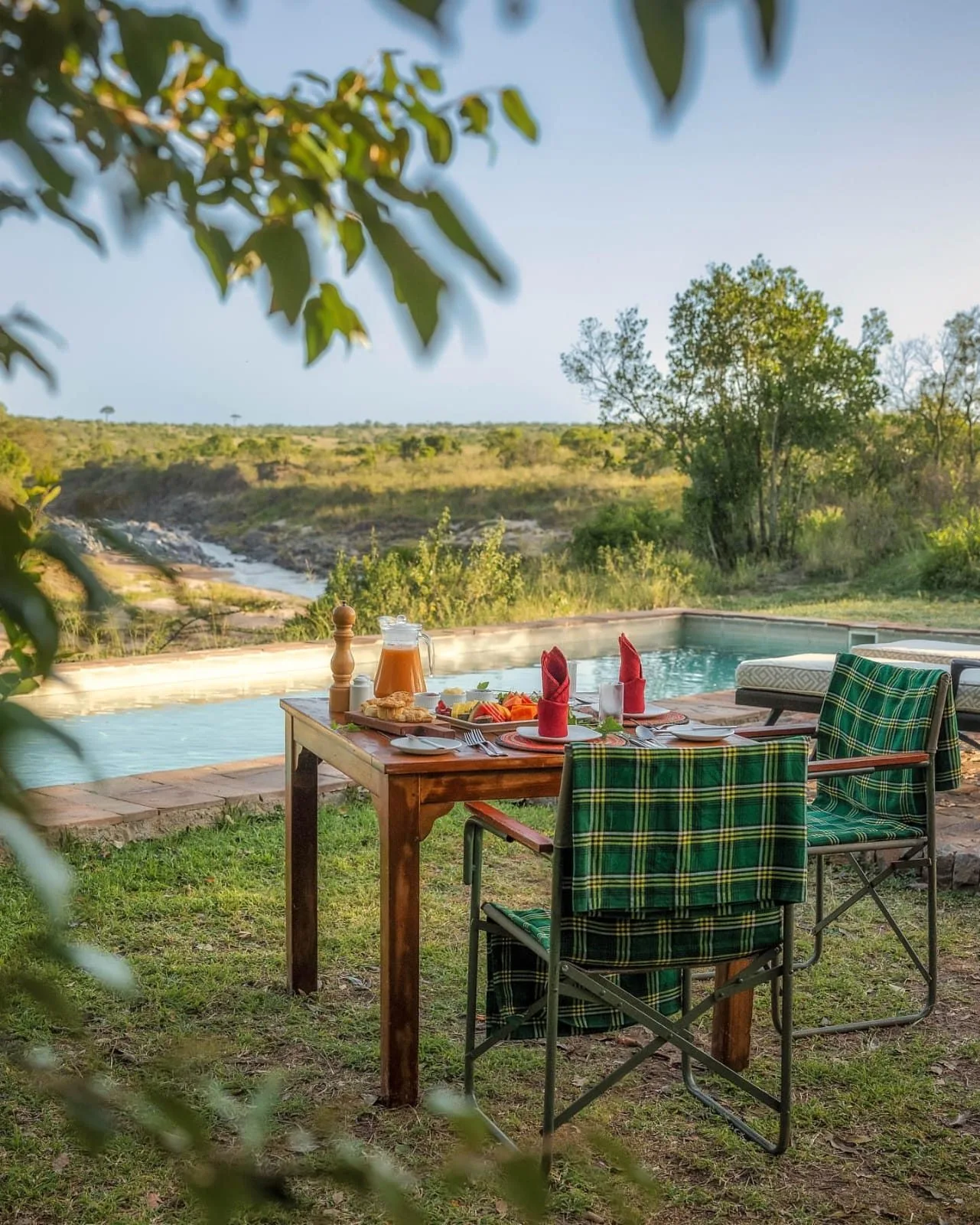 wildlife, Watamu & Malindi