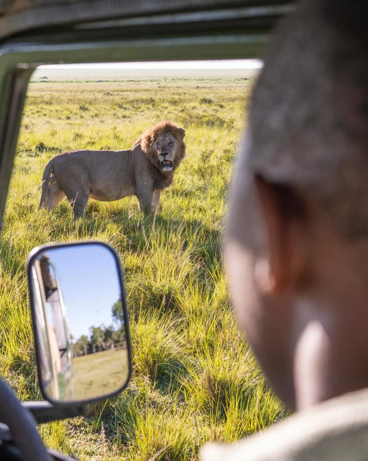 overview, The Masai Mara
