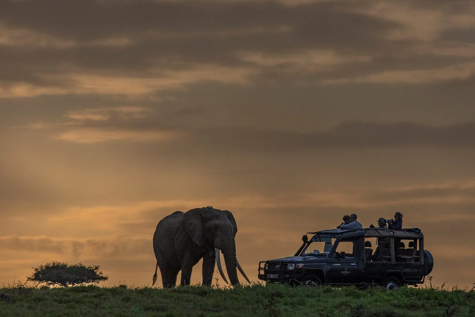 Kicheche Bush Camp