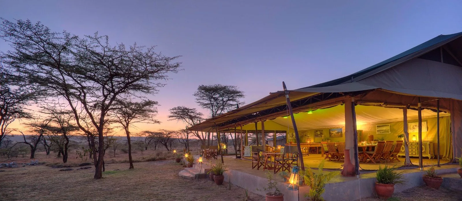 Kicheche Bush Camp, image 2