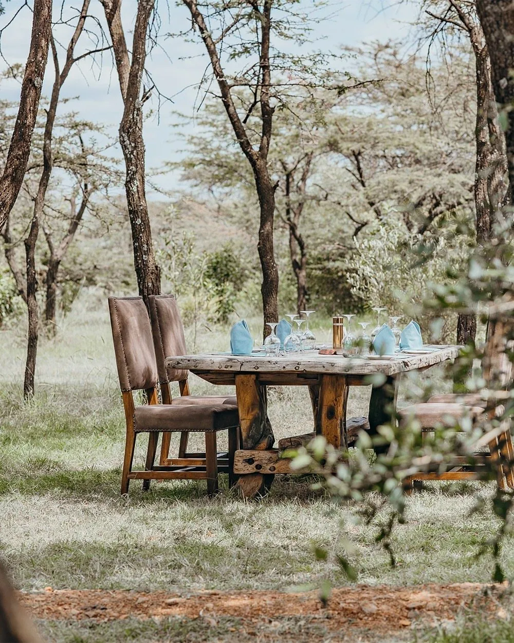 Mara Expedition Camp, image 1