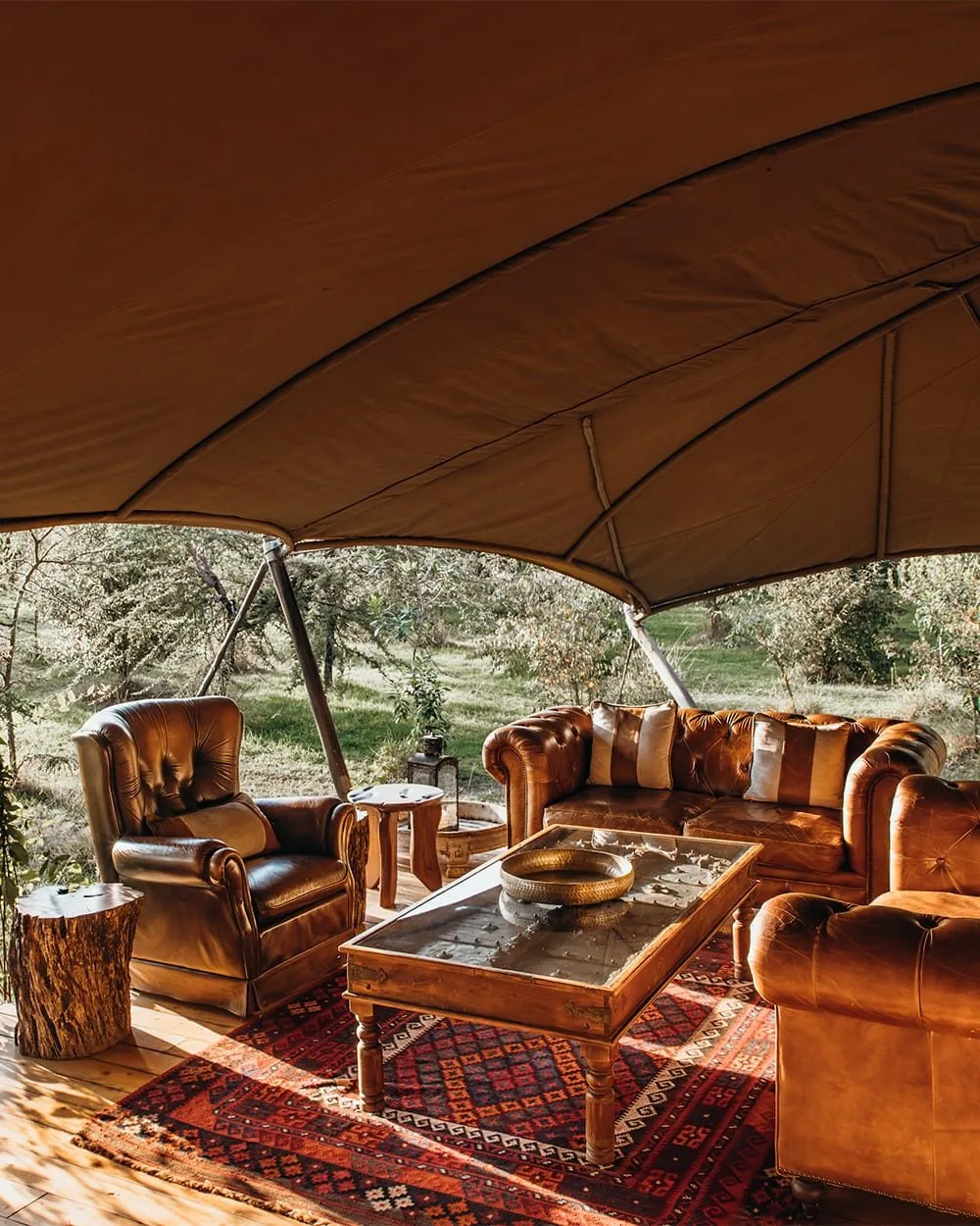 Mara Expedition Camp, image 2