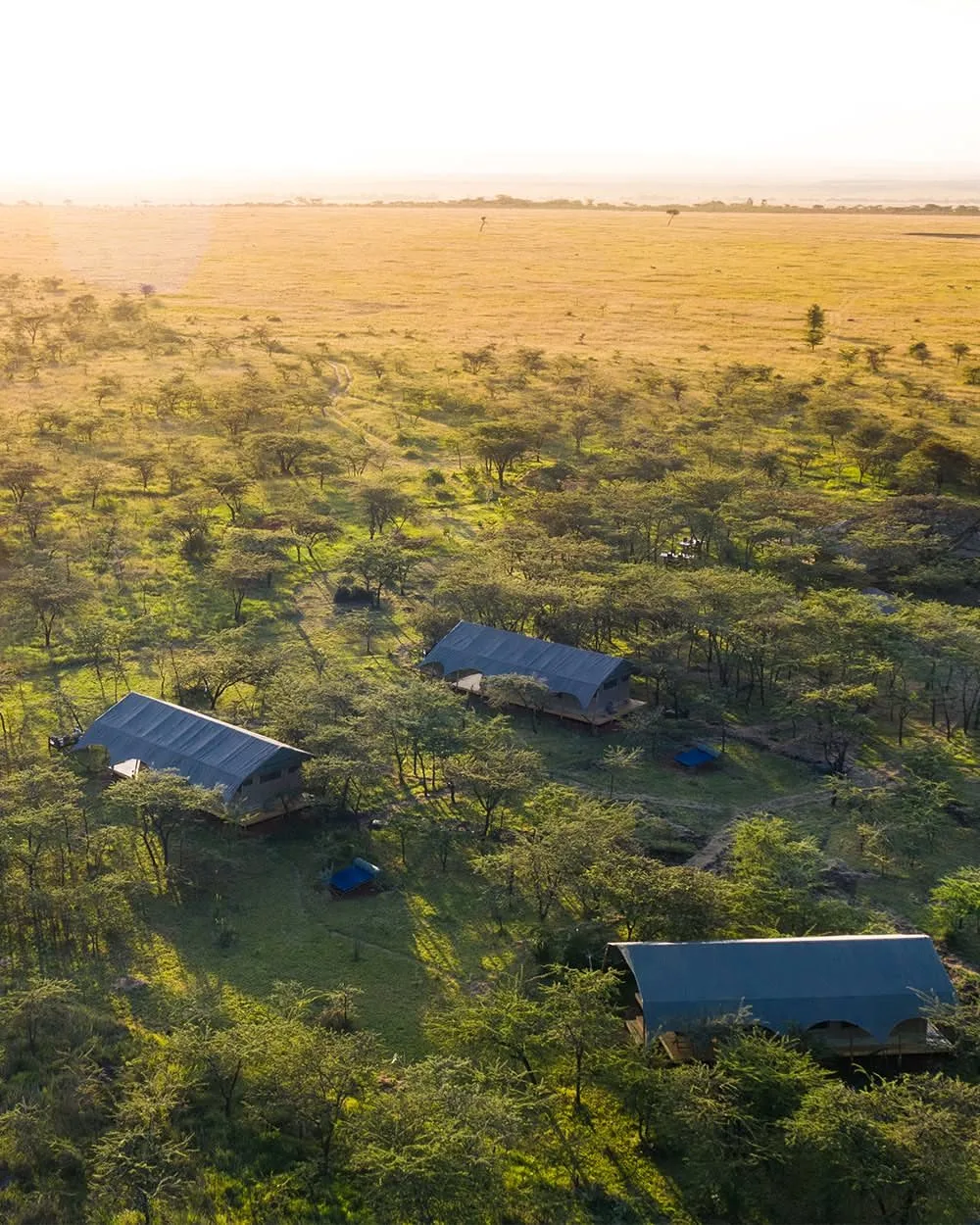Masai Mara Private Safari safari