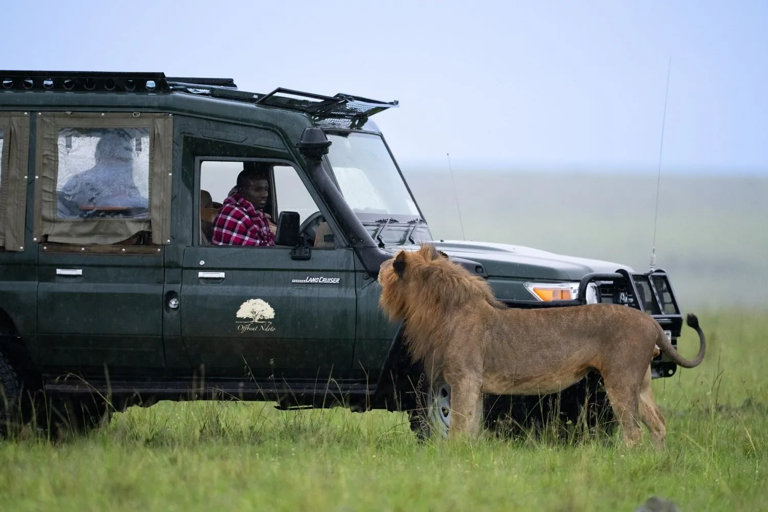 overview, The Masai Mara