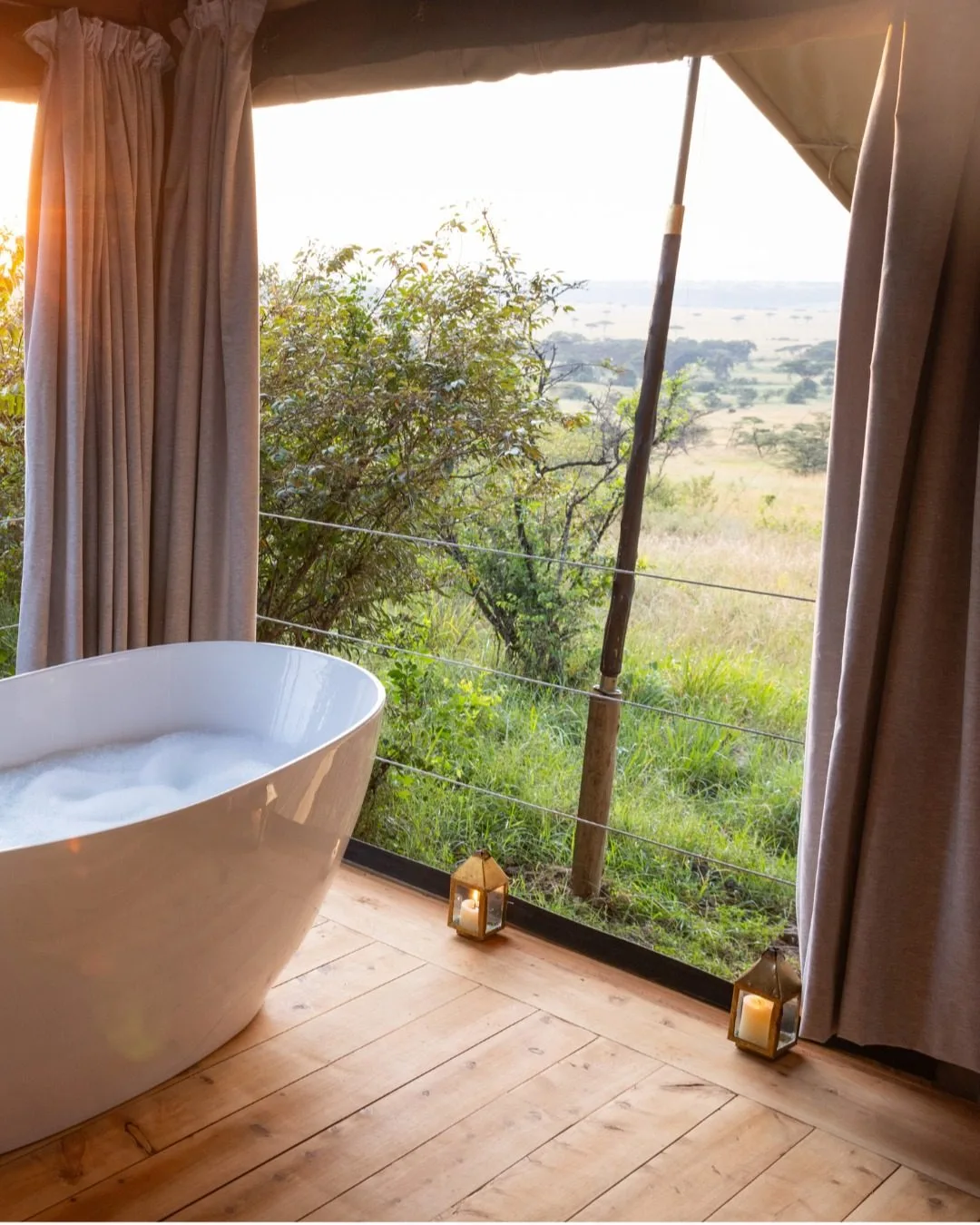 overview, The Masai Mara