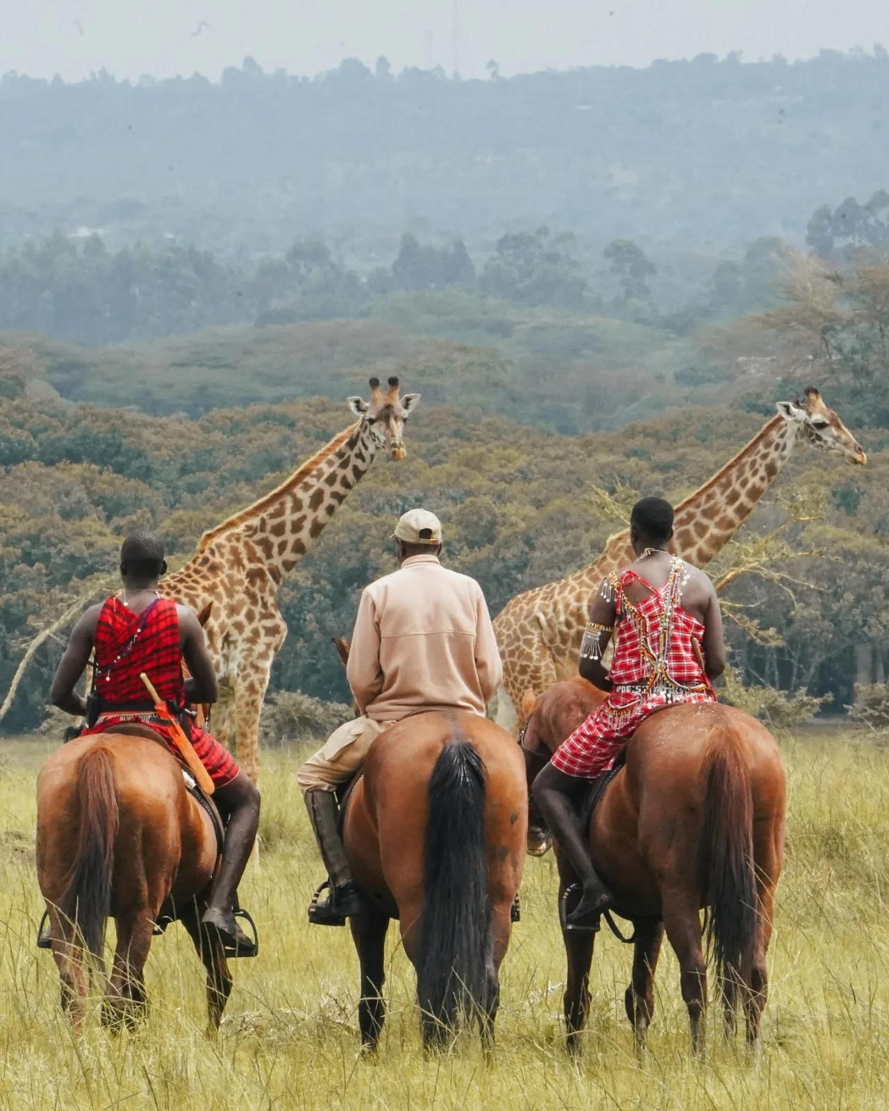 overview, The Masai Mara