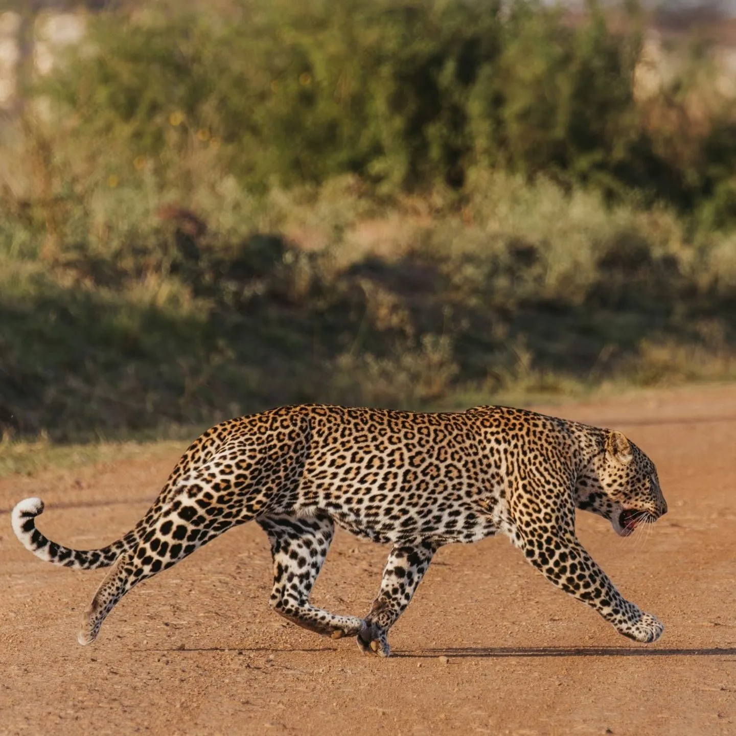 The Nairobi Traffic Experience story image 1